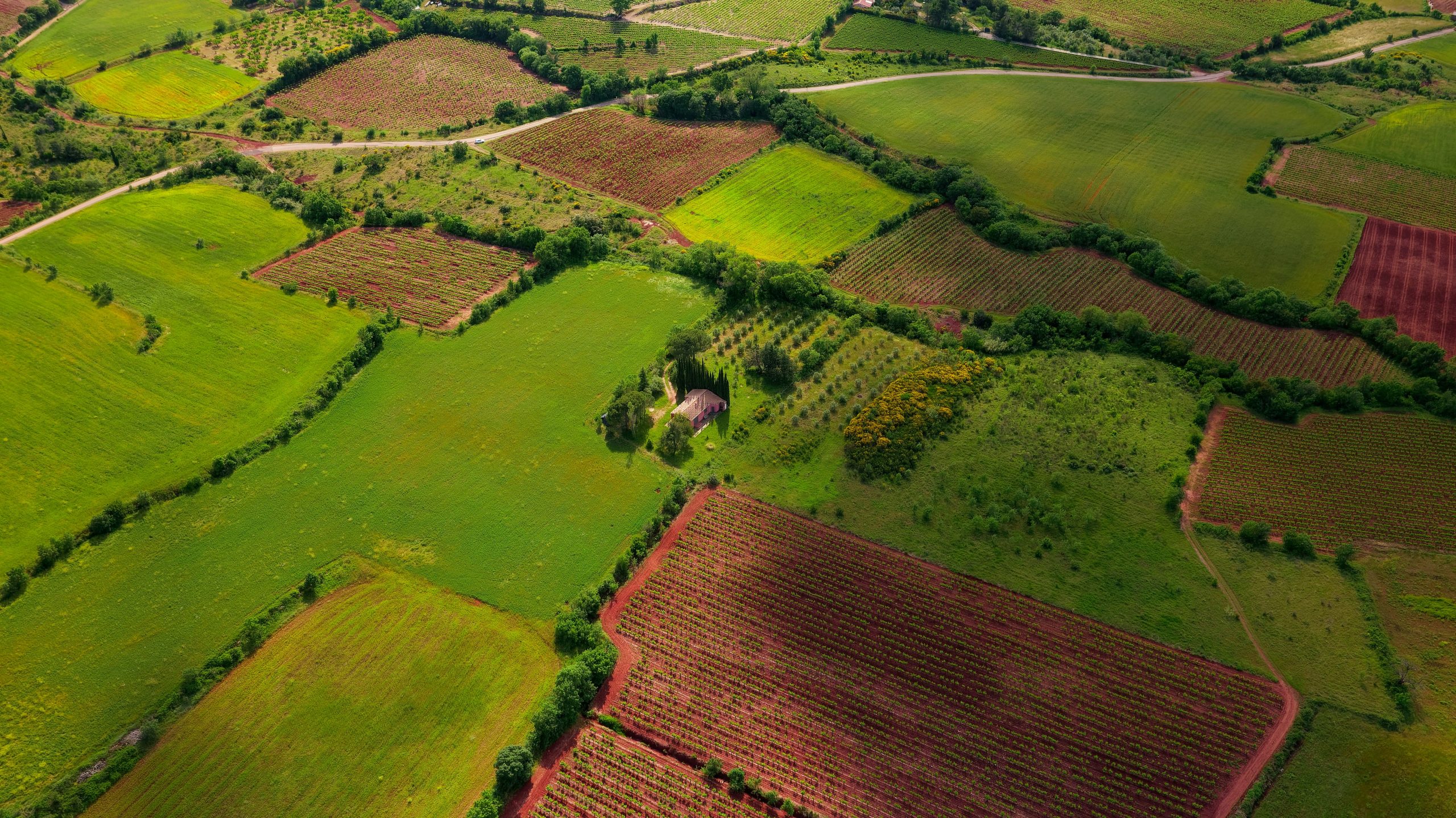 Test Wide-Open Mountain Views and Easy Road Access