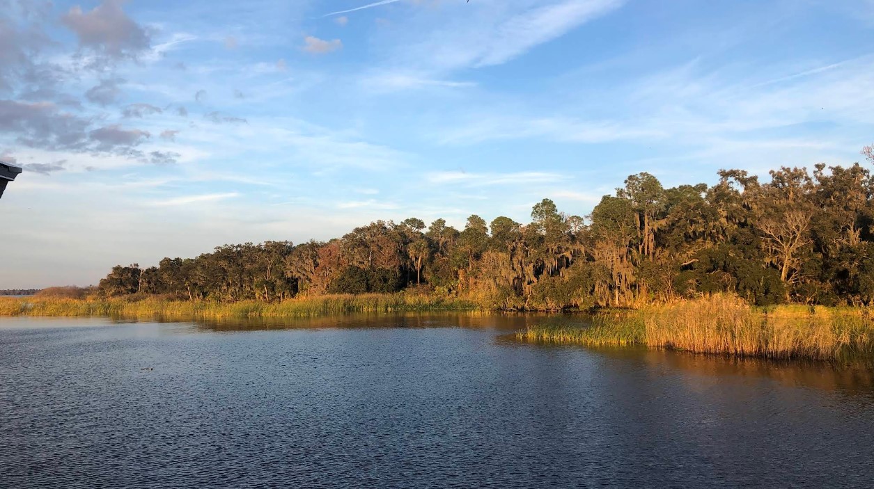 Central Florida .22 acres – Power Ready & Build Flexible (0570-0050)