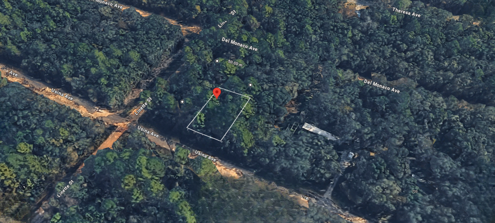 Central Florida .22 Acres – Natural Privacy Near Springs & Lakes (0450-0020)