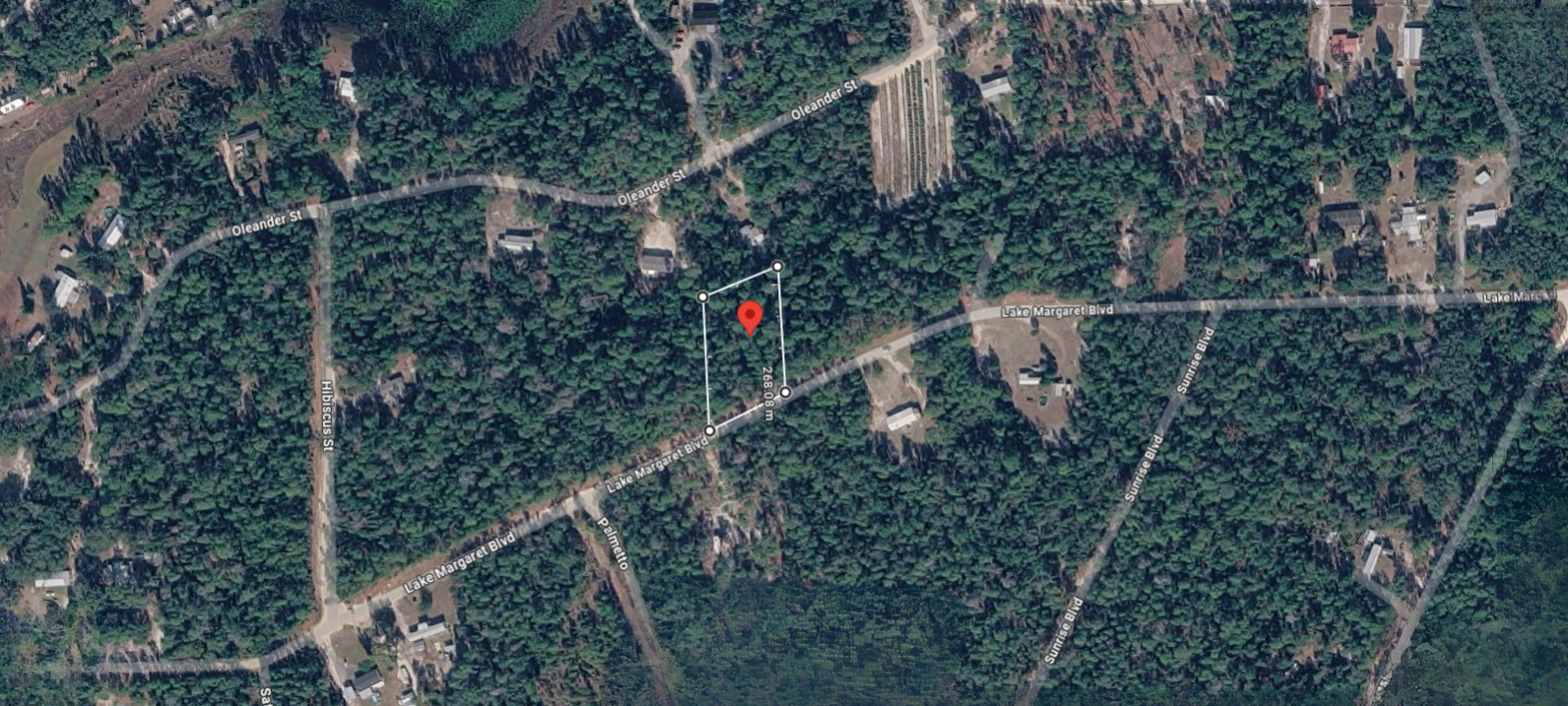 Own Your 1.1 Acre Slice of Florida — Without the HOA, the Noise, or the High Price (0000-1560)