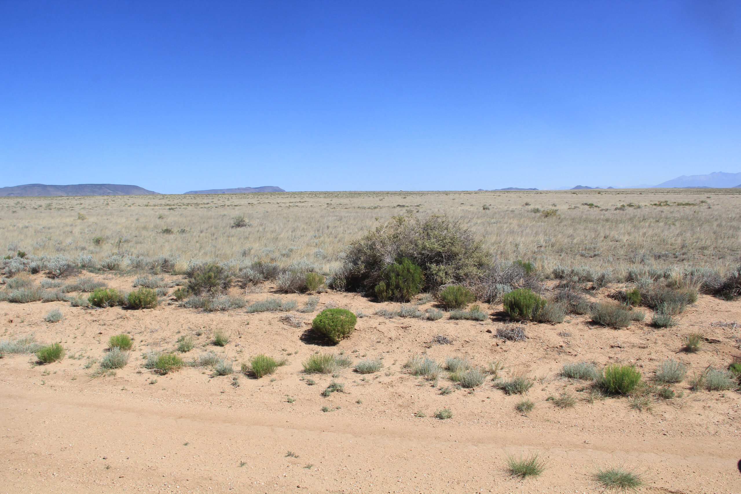 5+ Acres of Colorado Freedom (7151-0880)