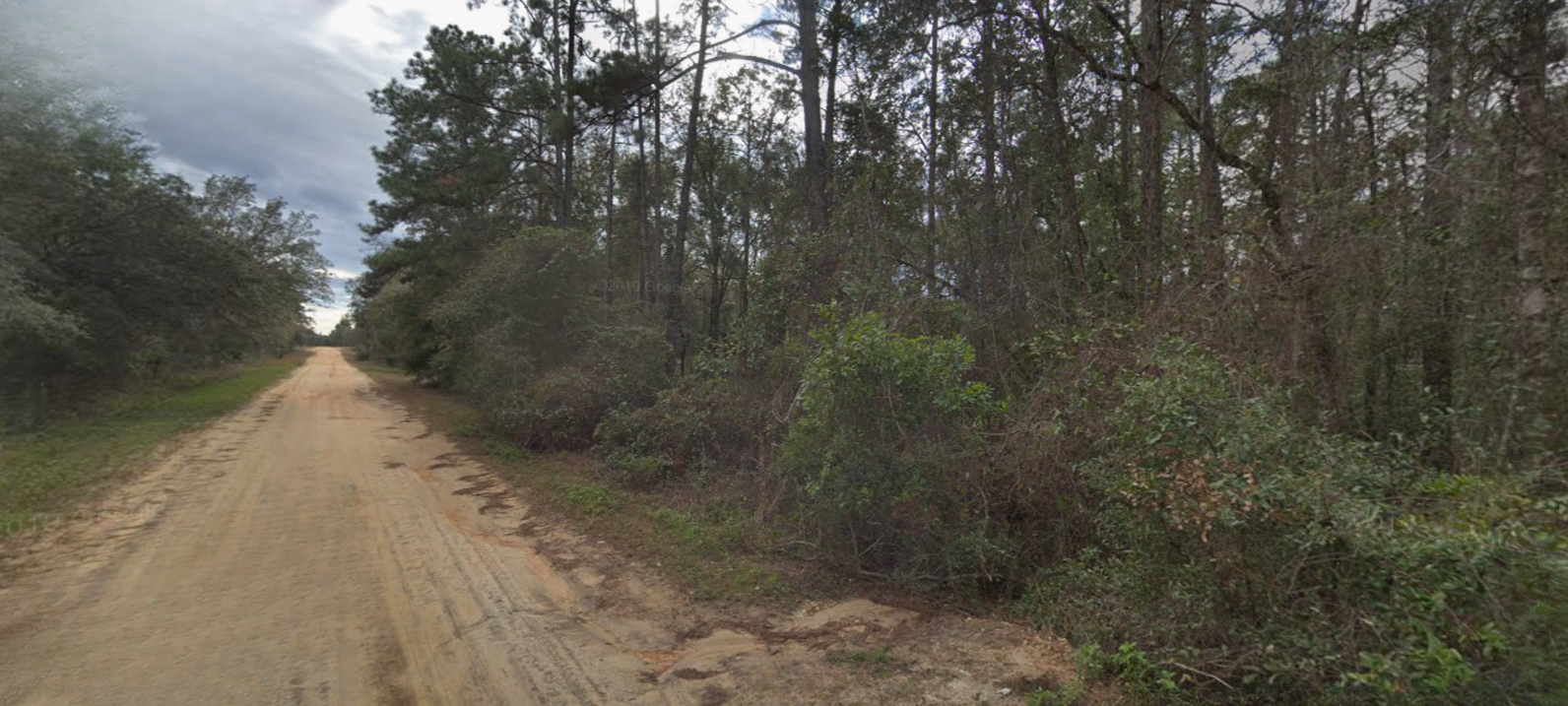 Own Peaceful Florida Land for Less Than Rent (0450-0350)