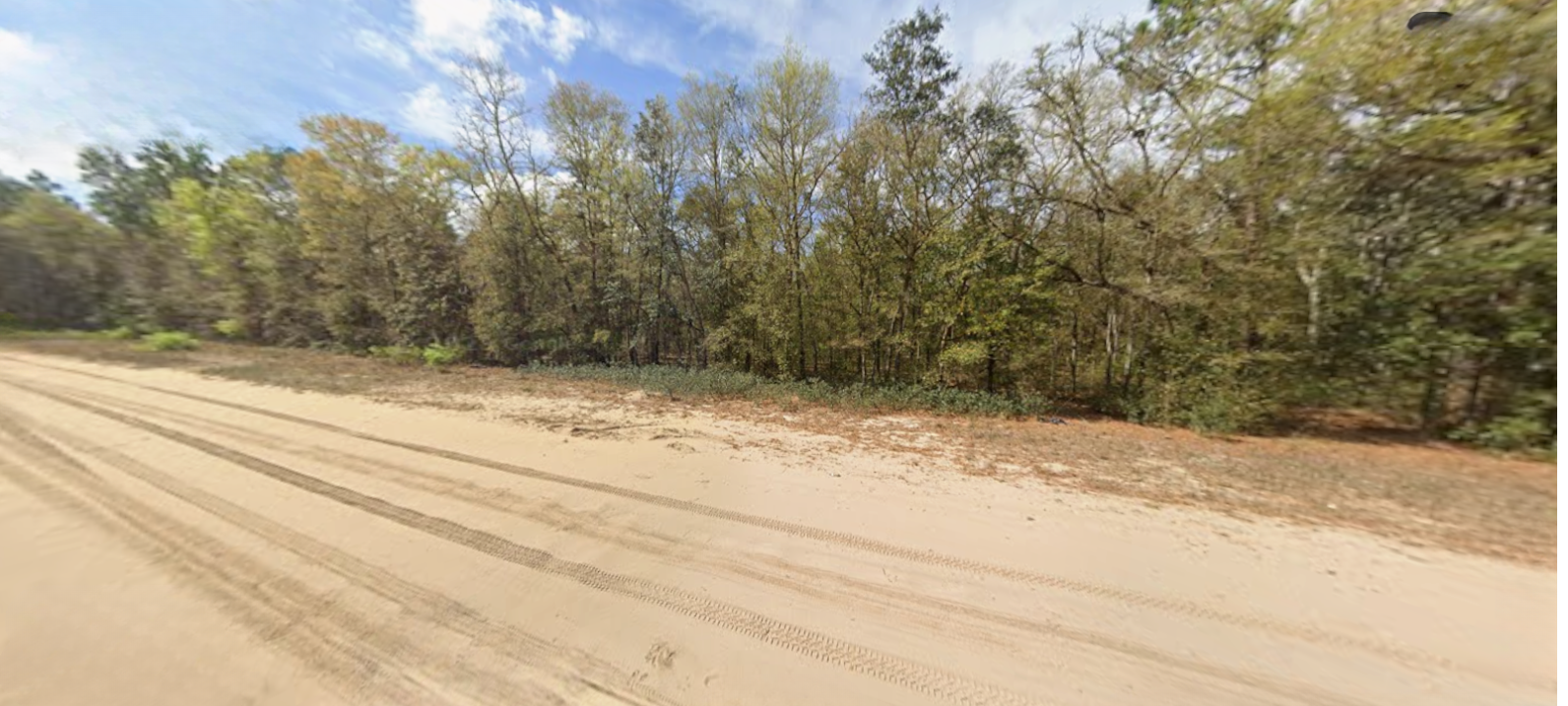 Central Florida 0.22 Acres – Private Wooded Lot in Lake Country (1300-0030)