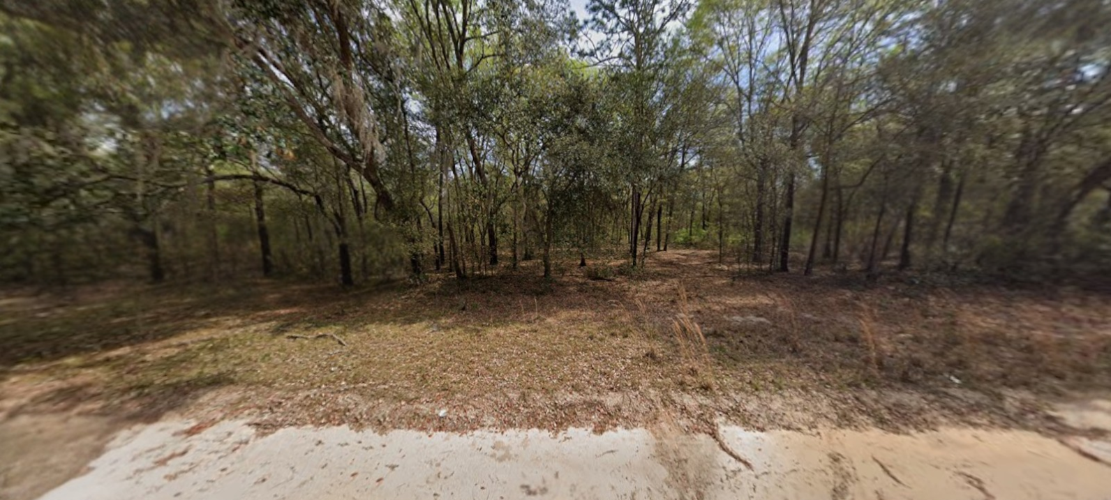 0.22 Acres in Interlachen, FL Wooded Lot Ready for Your Next Chapter (0850-0050)