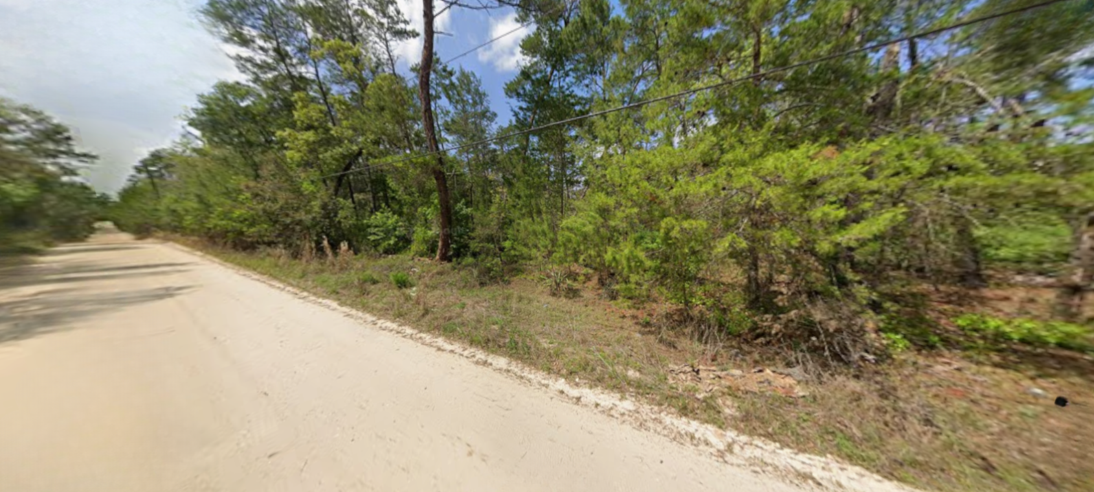 Own Your 1.1 Acre Slice of Florida — Without the HOA, the Noise, or the High Price (0000-1560)