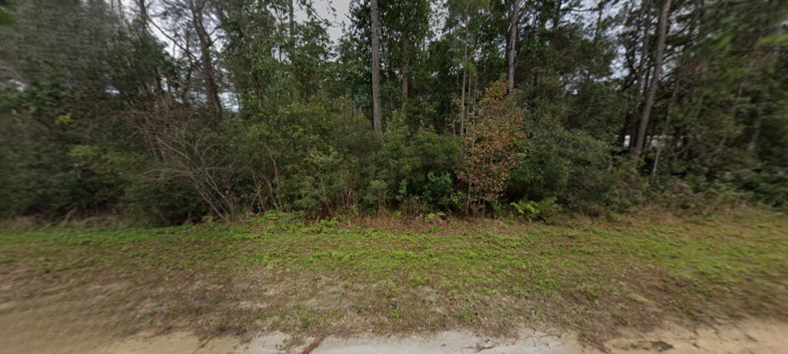 Central Florida .22 Acres – Natural Privacy Near Springs & Lakes (0450-0020)