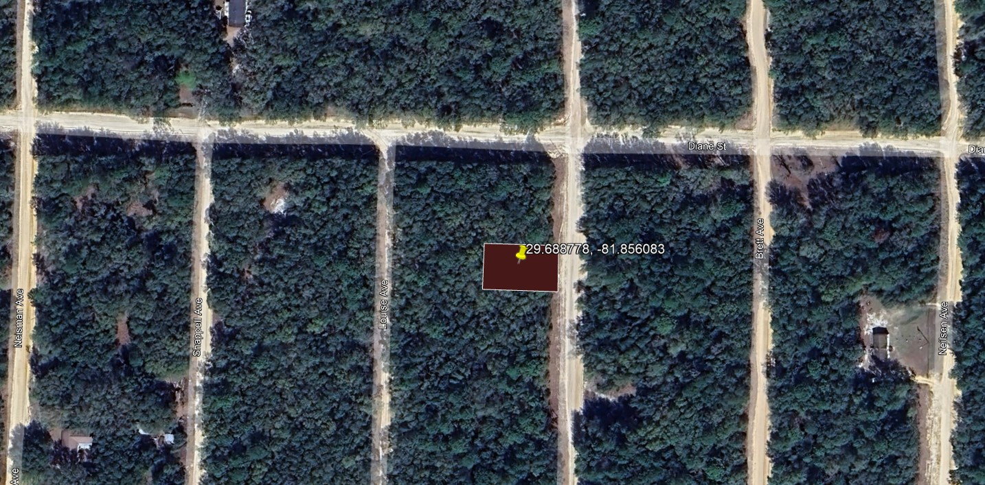 Aerial Lot Dimension